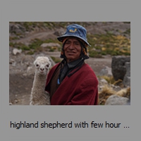 highland shepherd with few hour old Alpaca